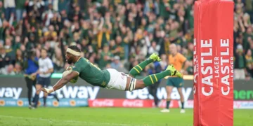 Springboks : composition inédite, objectif revanche contre les All Blacks