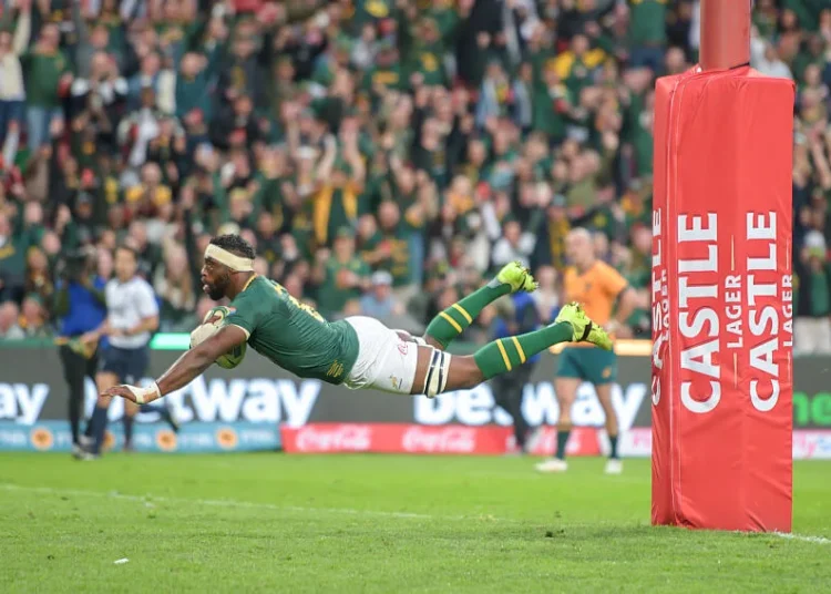 Springboks : composition inédite, objectif revanche contre les All Blacks