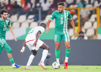 Youcef Belaili est ravi après son retour tonitruant avec les Fennecs ! 