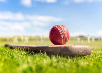 Cricket – Les Sud-Africaines en finale historique de la Coupe du monde !