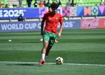 Encore un coup de génie de la cellule de recrutement du LOSC cet hiver ?