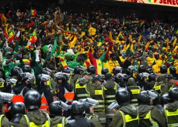 CAN : la Fédération sénégalaise et les Lions mobilisés pour les supporters détenus au Maroc