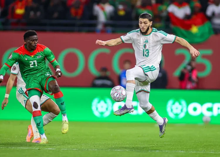 Jaouen Hadjam attise la Premier League, le pari gagnant d&rsquo;un Fennec longtemps boudé