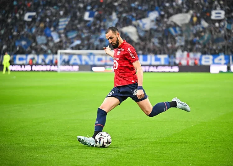 OM : un cadre du LOSC dans la valise de Genesio ?