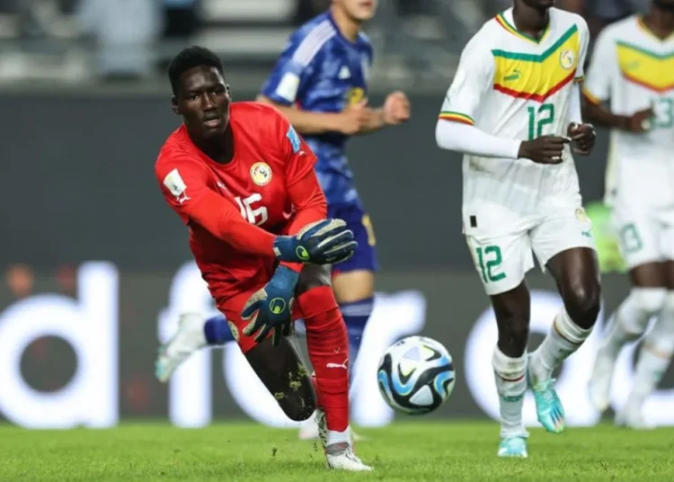 ASSE : un gardien sénégalais venu de Norvège dans le viseur des Verts